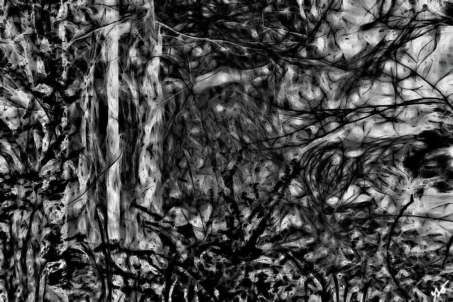 Abstract Glimpse Of Bayou Meto Photograph