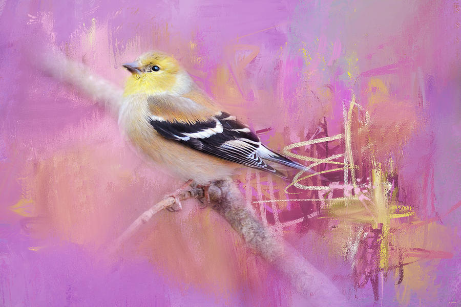 Abstract Goldfinch Photograph by Jai Johnson