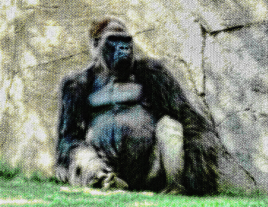 Abstract Gorilla 12 Photograph by Kristalin Davis