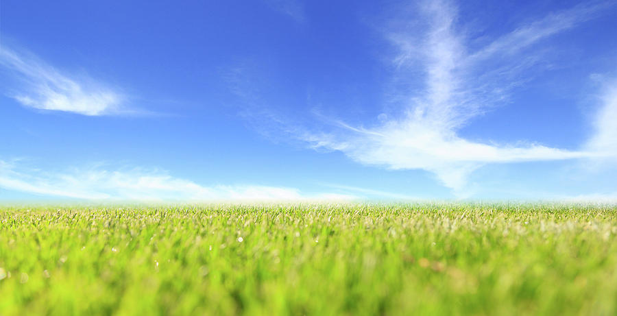 Abstract green field and blue sky Photograph by George Tsartsianidis ...