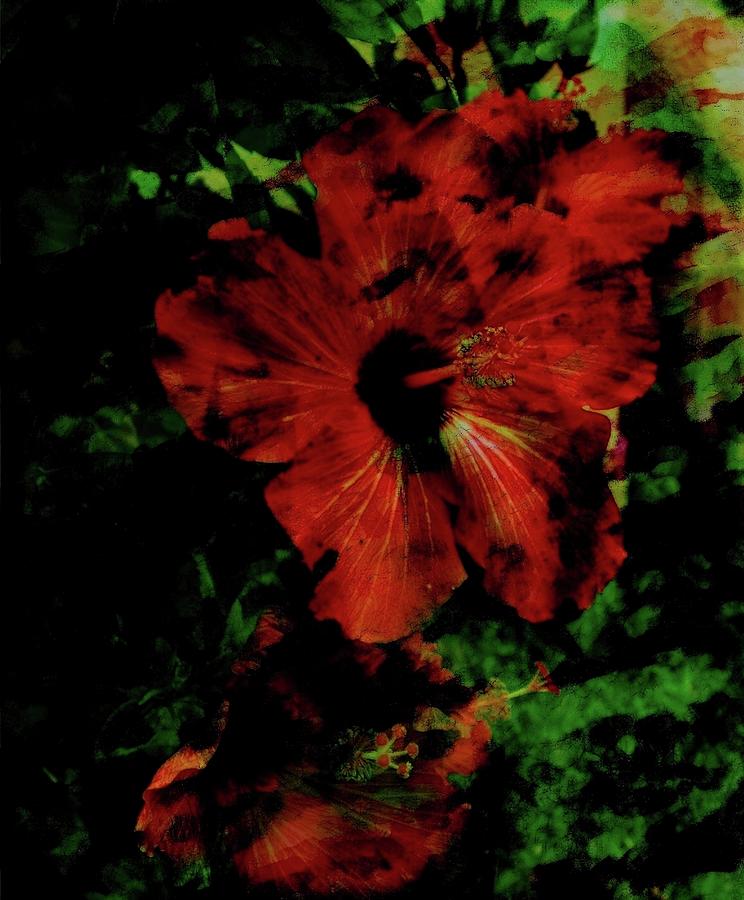 Abstract Hibiscus 19 Version 2 Photograph by Kristalin Davis