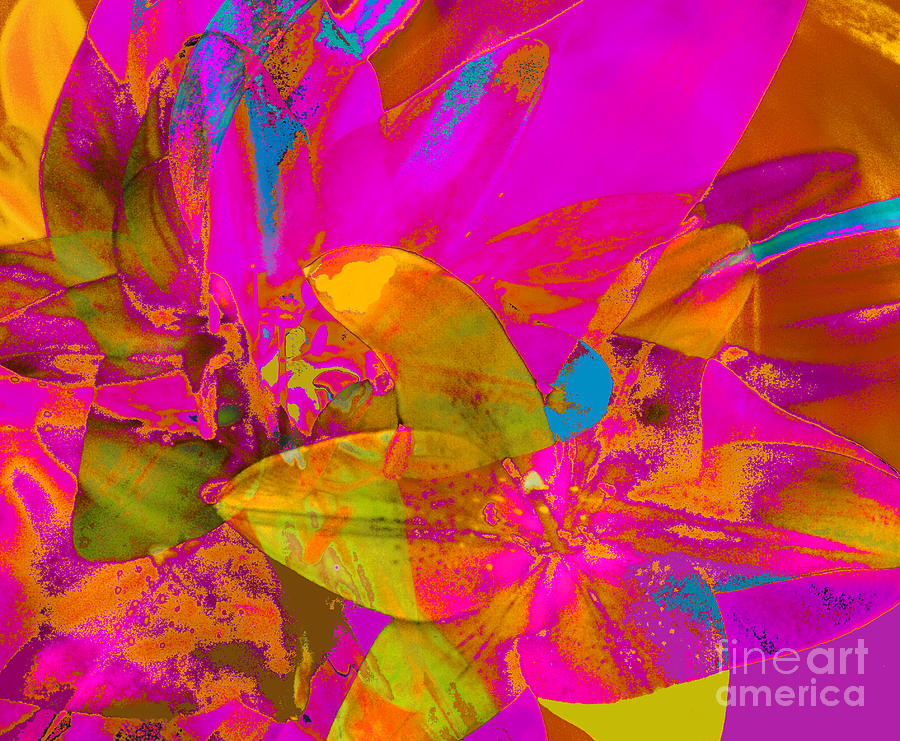 Abstract Hibiscus Flowers Photograph by Suzanne Powers