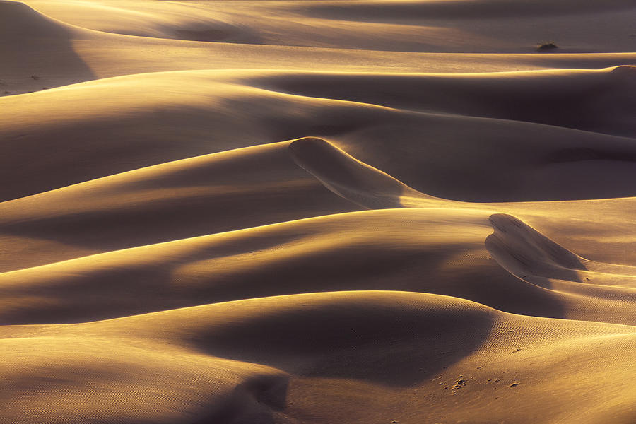 Harmony by Khaled Hmaad Harmony by Khaled Hmaad