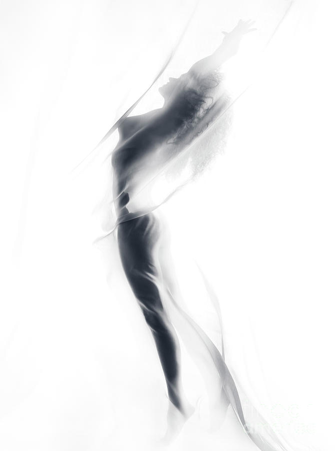 abstract woman silhouette