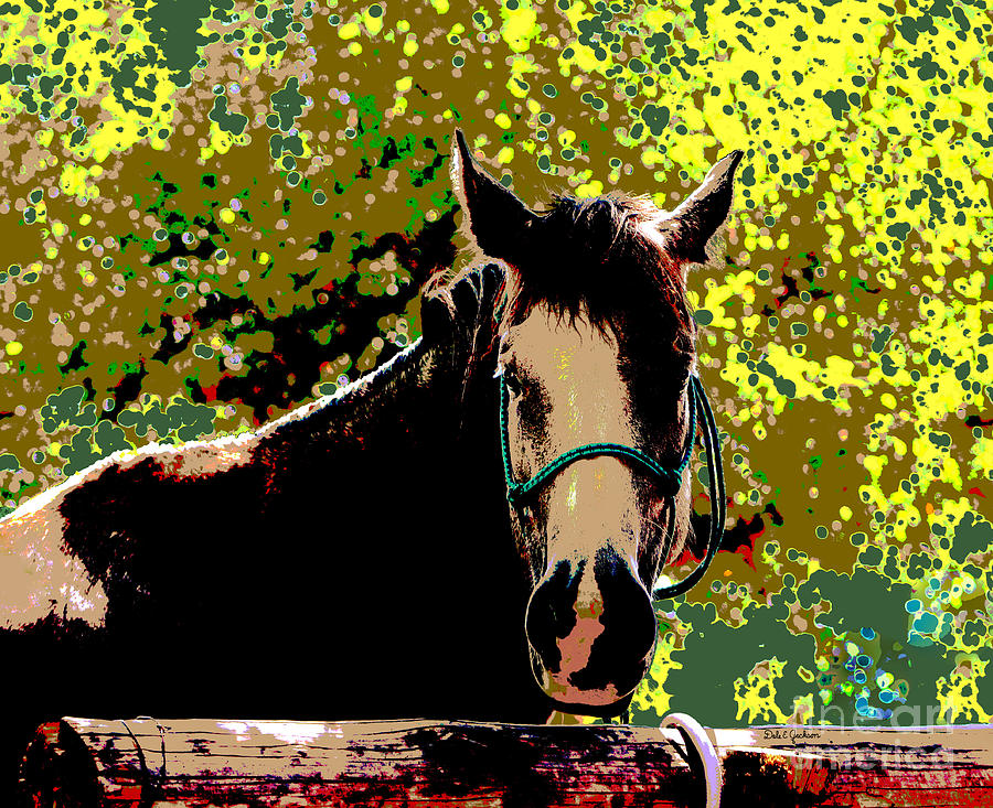 Horse Photograph - Abstract Image of Horse Named Moon by Dale Jackson