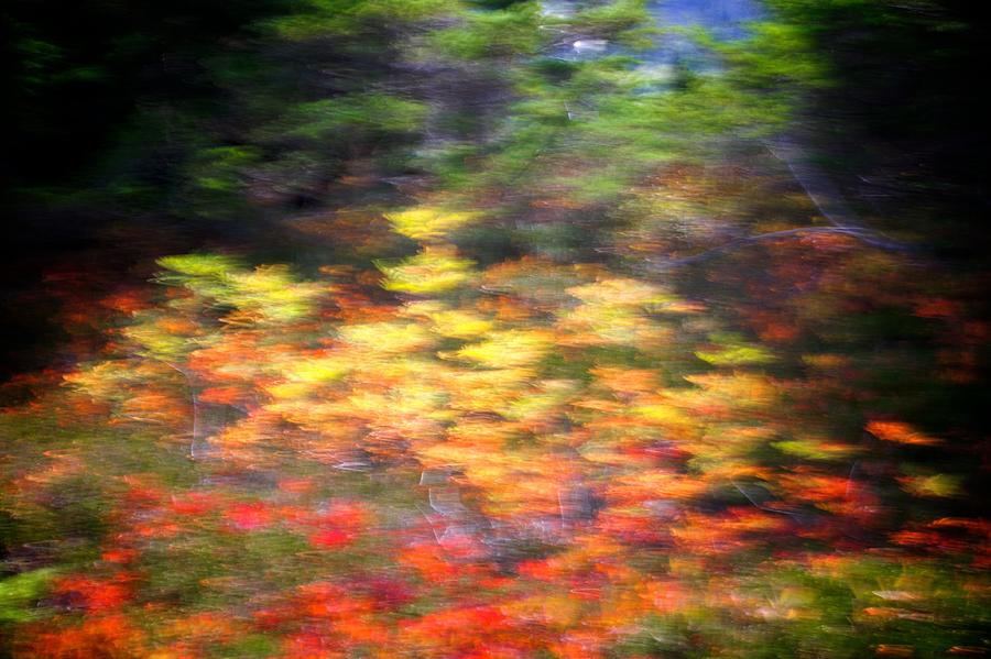 Abstract Impressionist Study 1 Photograph by Julius Reque