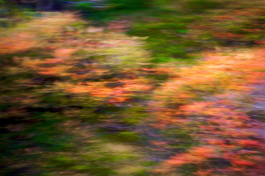 Abstract Impressionist Study 3 Photograph by Julius Reque
