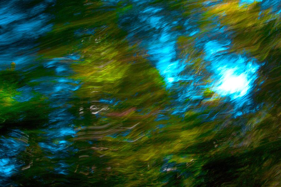 Abstract Impressionist Study 4 Photograph by Julius Reque