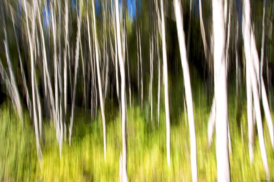 Abstract Impressionist Study 8 Photograph by Julius Reque