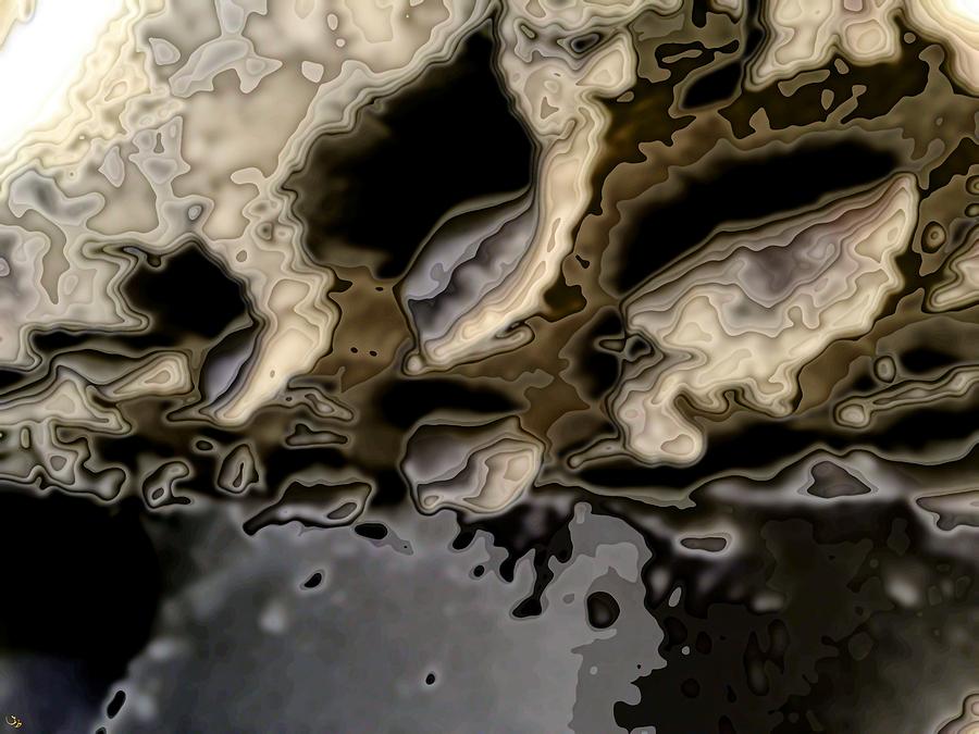 Abstract In Black And Brown Digital Art by Ron Bissett