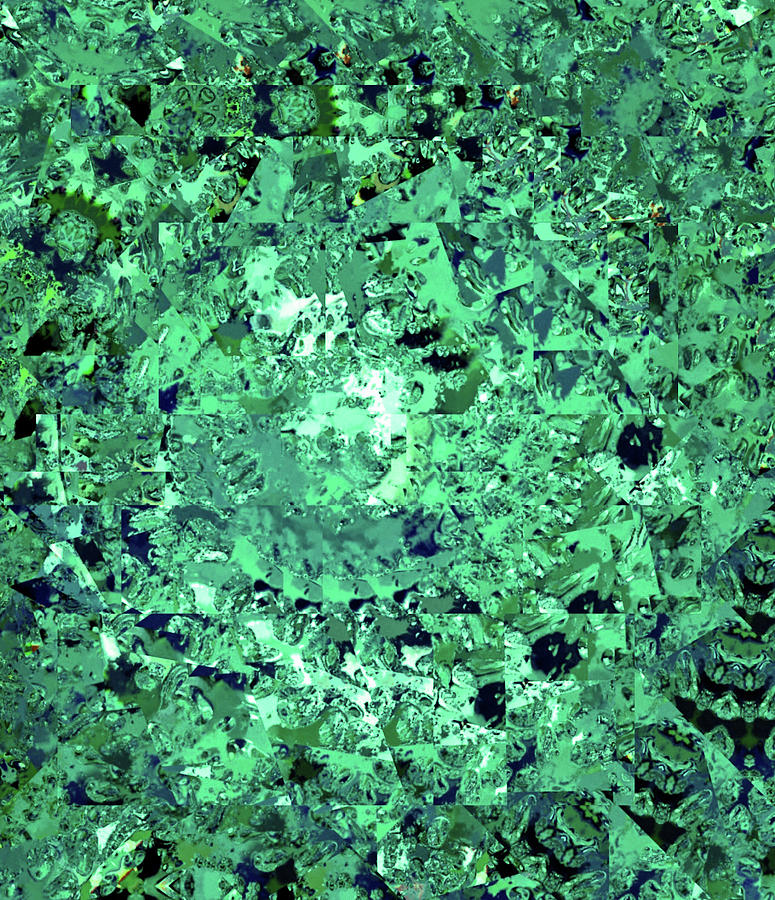 Abstract in Green No. 56-3 Digital Art by Sandy Taylor