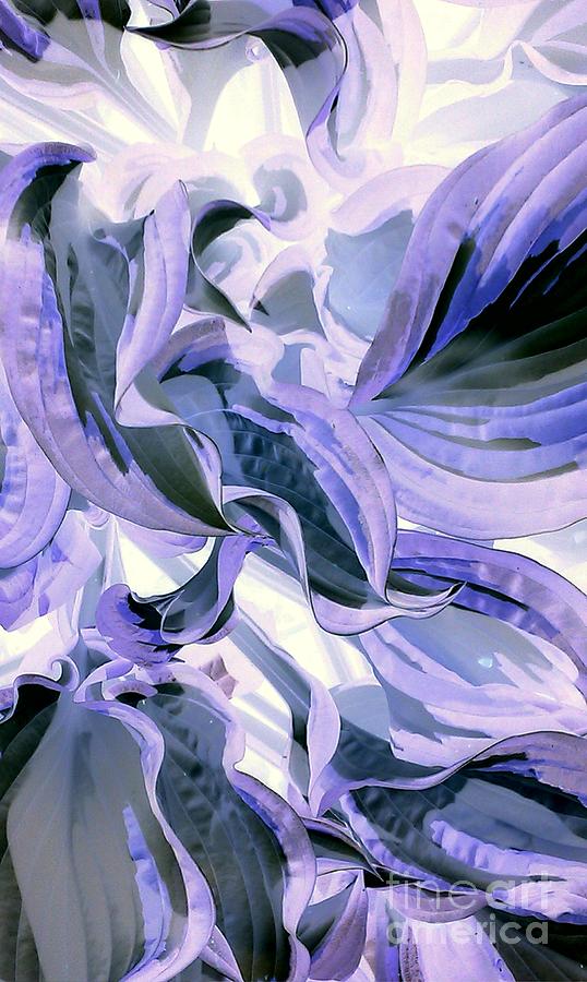 Abstract In Lavender Photograph by Jacqueline McReynolds