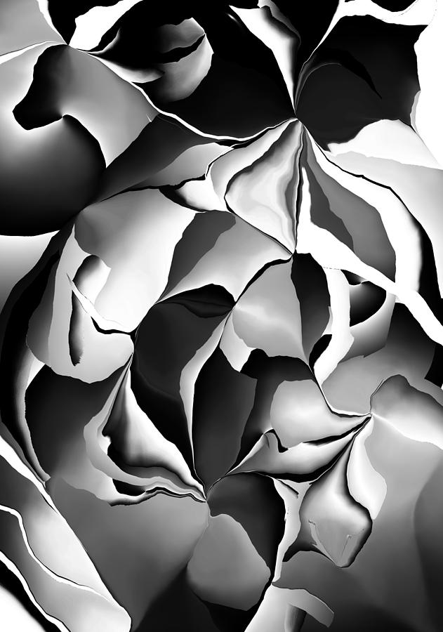 Abstract in Monochrome  Digital Art by David Lane