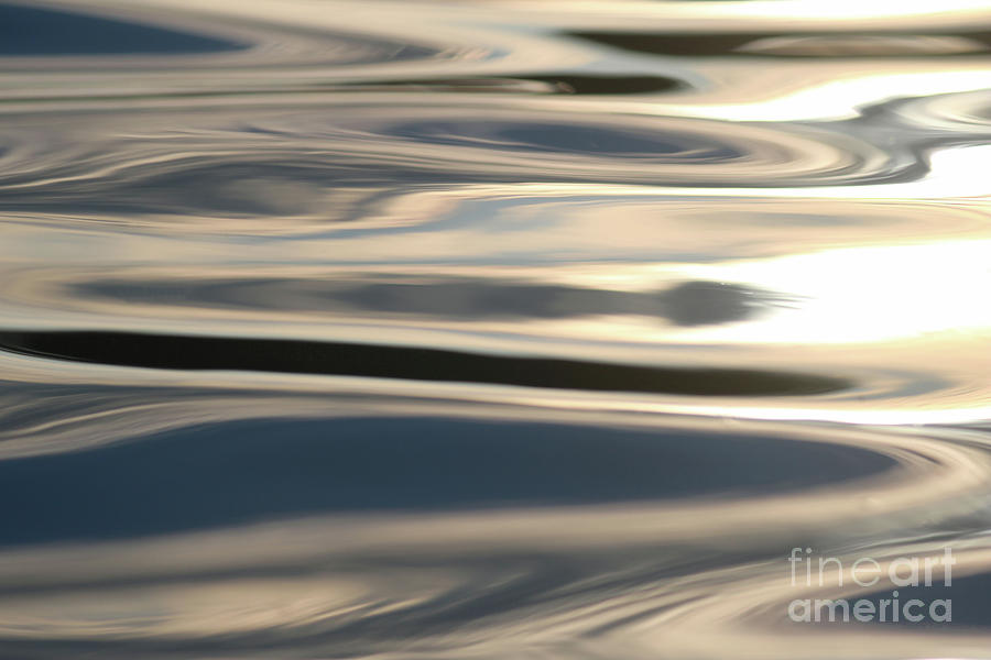 Abstract In Nature Photograph by Sandra Huston