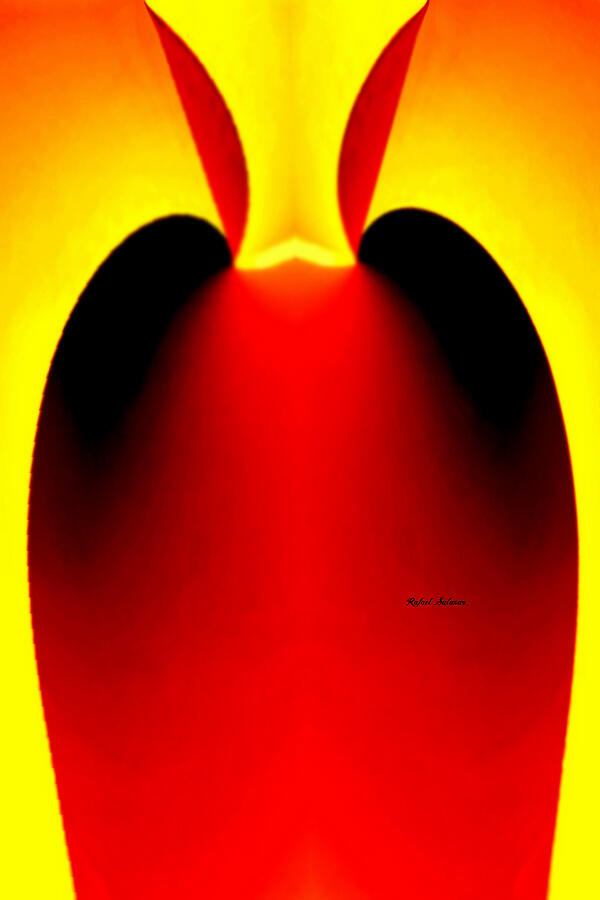Abstract in Red and Yellow Digital Art by Rafael Salazar