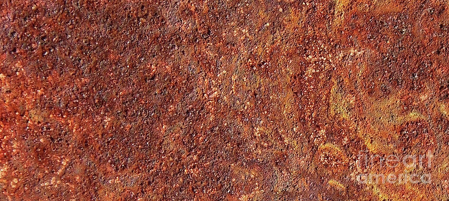 Abstract In The Rust Photograph by D Hackett
