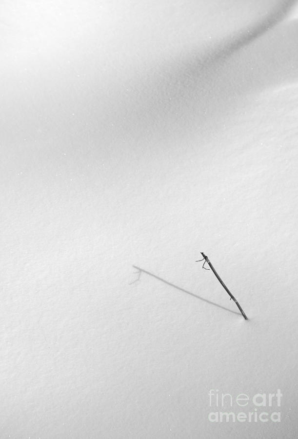 Abstract in the Snow No 2  2594 Photograph by Ken DePue