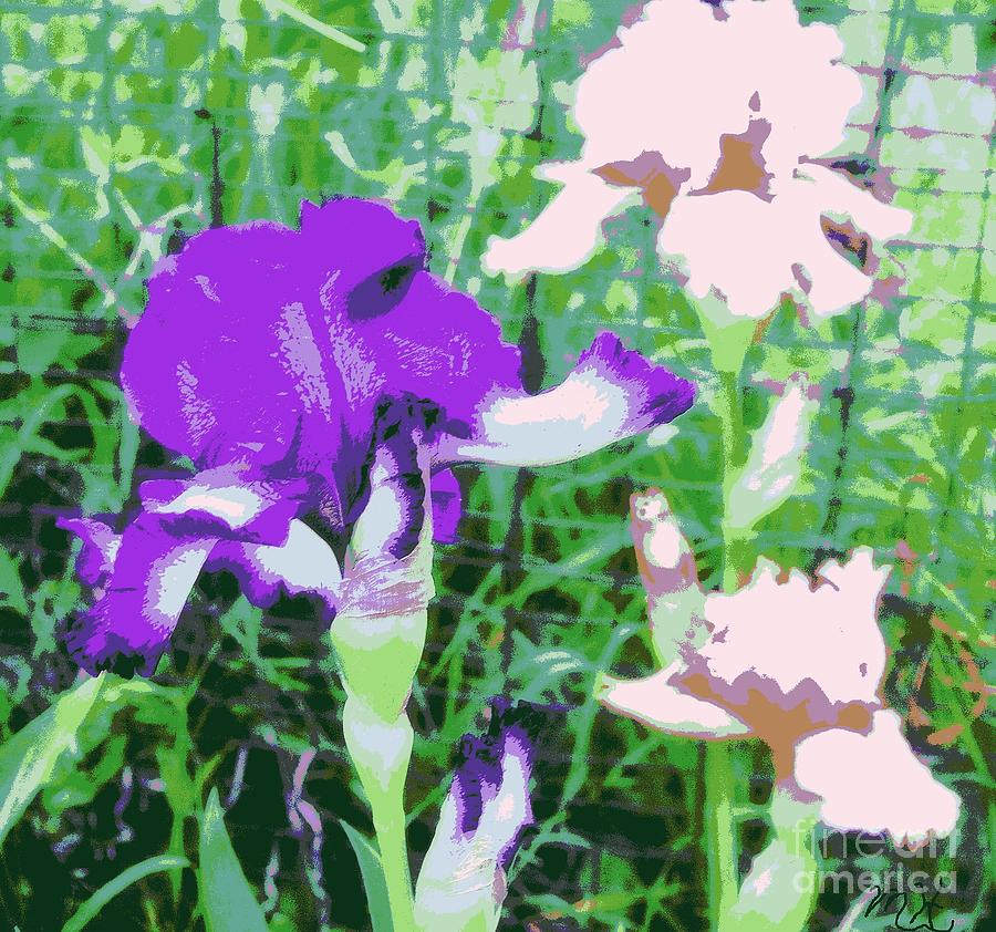 Abstract Irises ll Photograph by Marsha Heiken