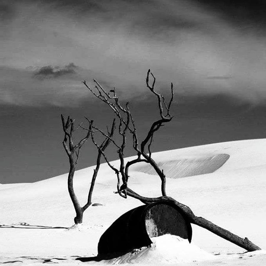 Noir Photograph - Abstract Landscape #blackandwhite #bnw by Aleem Allie