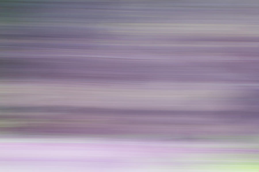 Abstract Lilacs Photograph by Clare Bambers