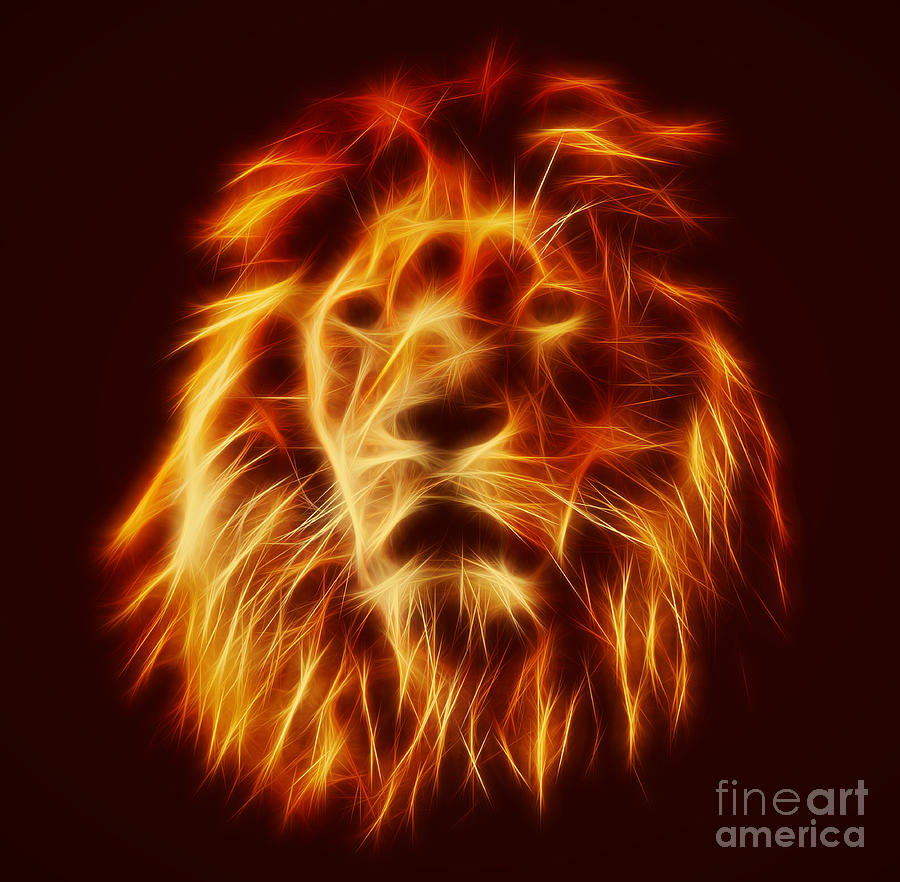 Abstract Photograph - Abstract lion portrait by Michal Bednarek