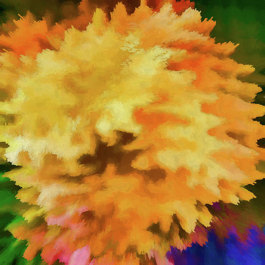 Abstract - Marigold Digital Art by Jon Woodhams