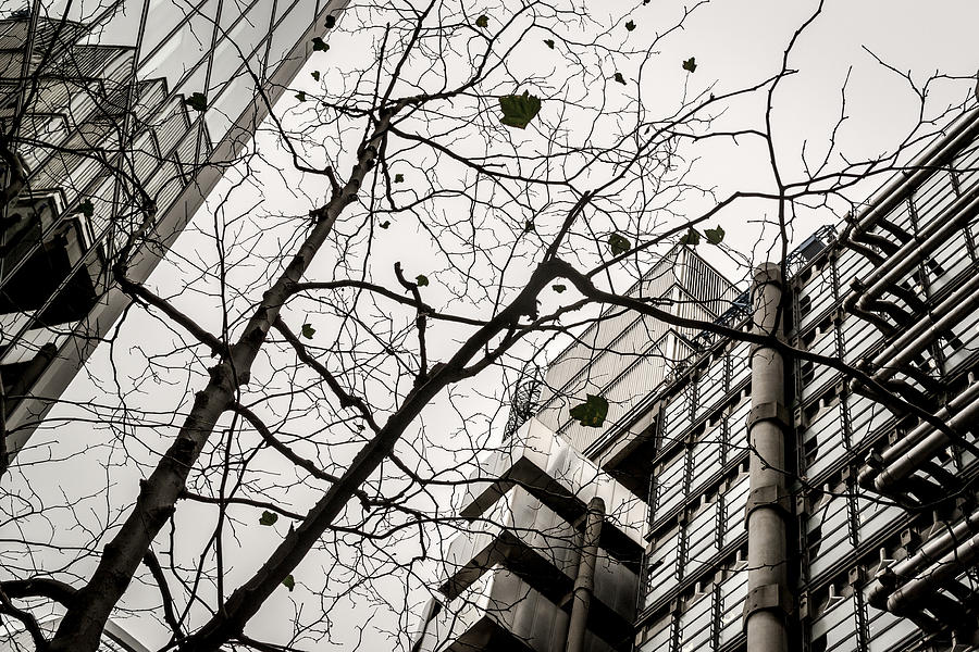 Abstract Modern Building and Tree Silhouette Pattern Design Photograph by John Williams