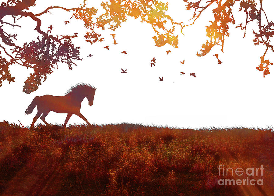 Abstract Modern Minimalist Horse, Tree and Birds Fine Art Print Photograph by Stephanie Laird