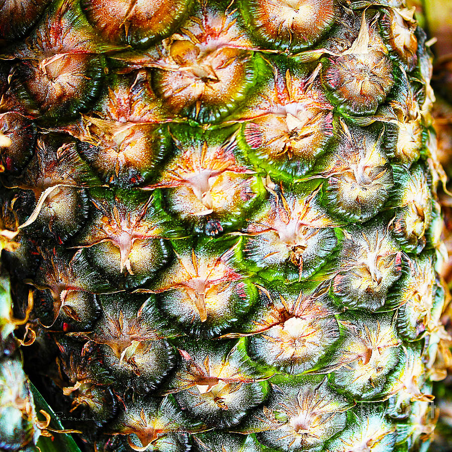 Abstract Nature Tropical Pineapple A712078 Square Photograph by Ricardos Creations