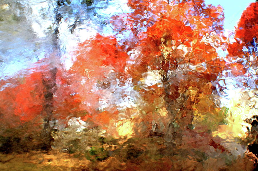 Fall Photograph - Abstract of Autumn V by Charles Shedd