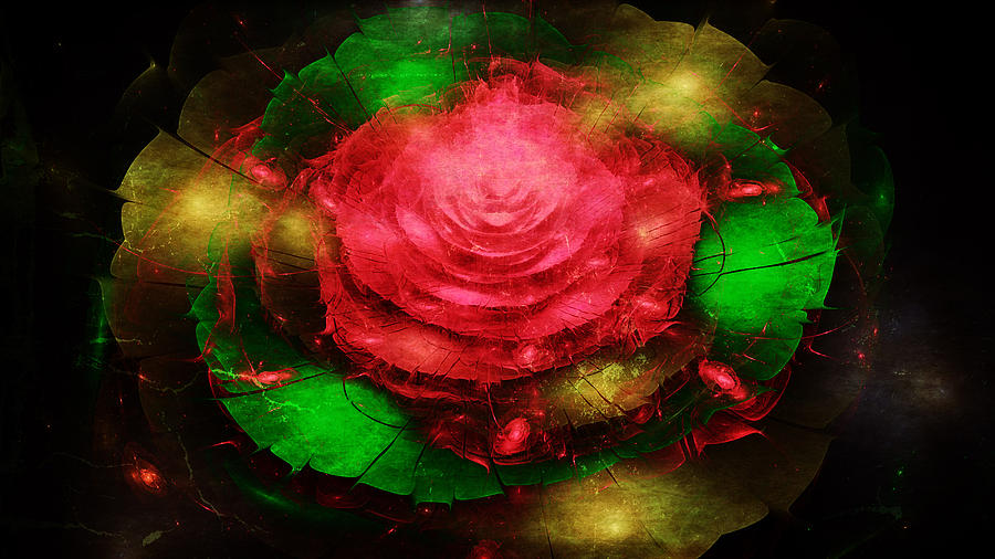 Abstract of Floral Digital Art by Rhonda Barrett