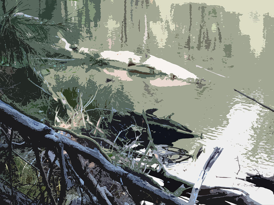 Abstract Of Merced River 6 Digital Art by Eric Forster