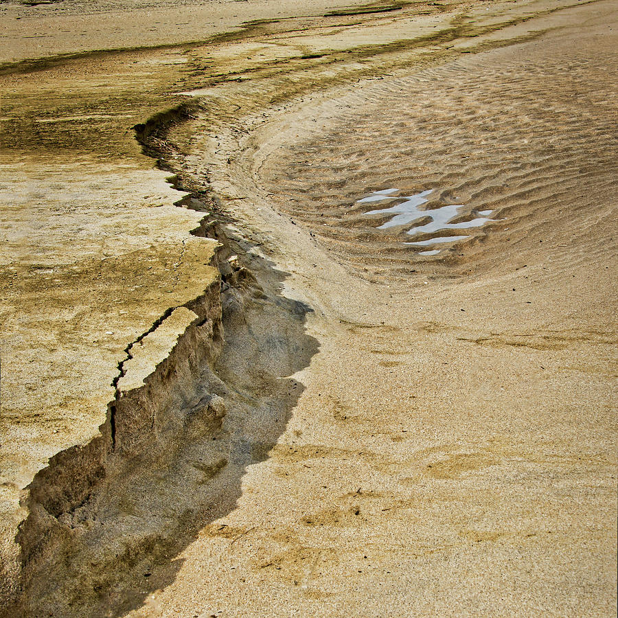 Abstract Of Nature On The Beach Photograph