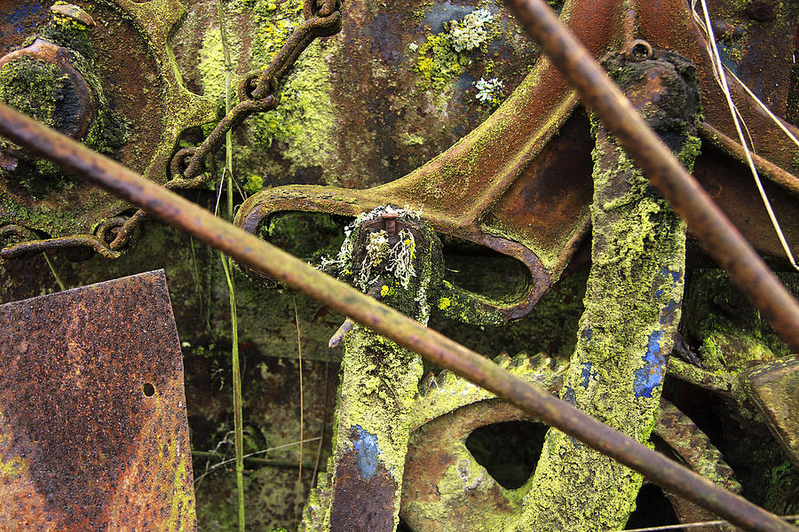 Abstract Of Rusting Farm Equipment # 2 Photograph