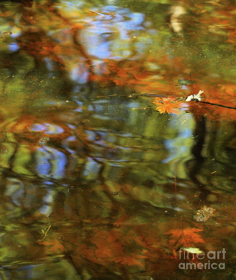Abstract Photograph - Abstract of St Croix River 02 by Jimmy Ostgard