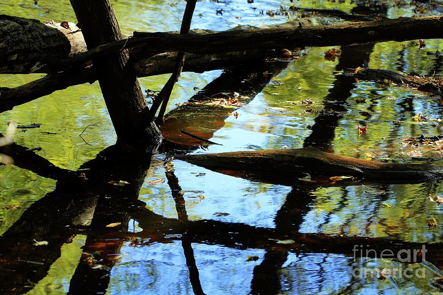 Abstract Photograph - Abstract of St Croix River 03 by Jimmy Ostgard