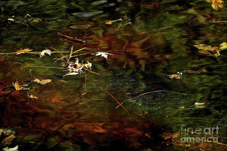 Abstract Photograph - Abstract of St Croix River by Jimmy Ostgard