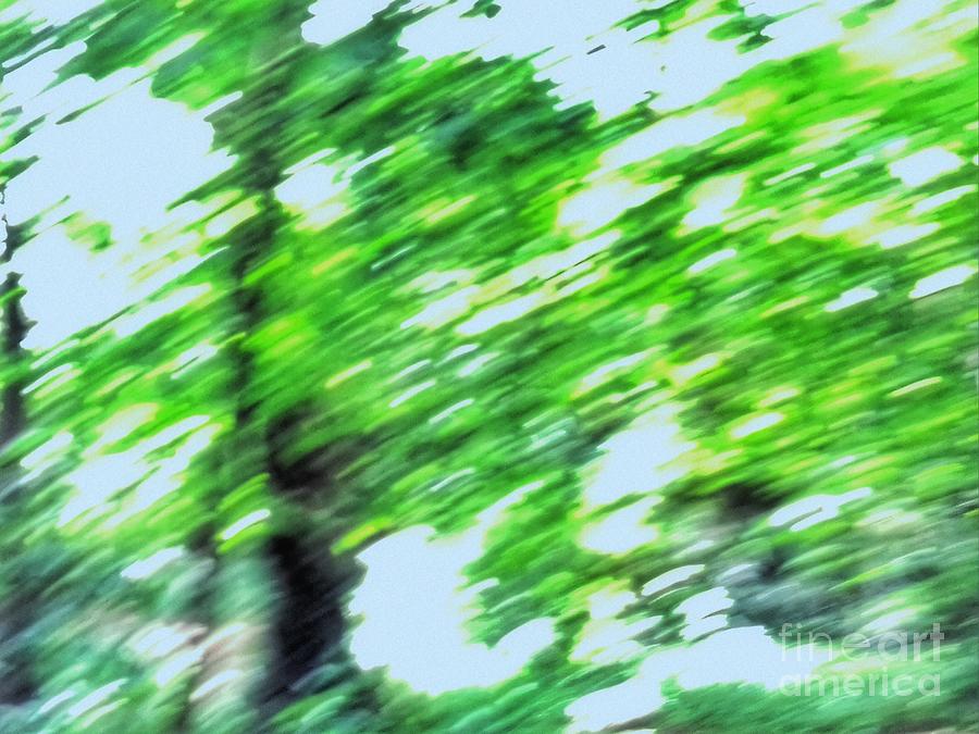 Abstract of The Copse Digital Art by Joan-Violet Stretch