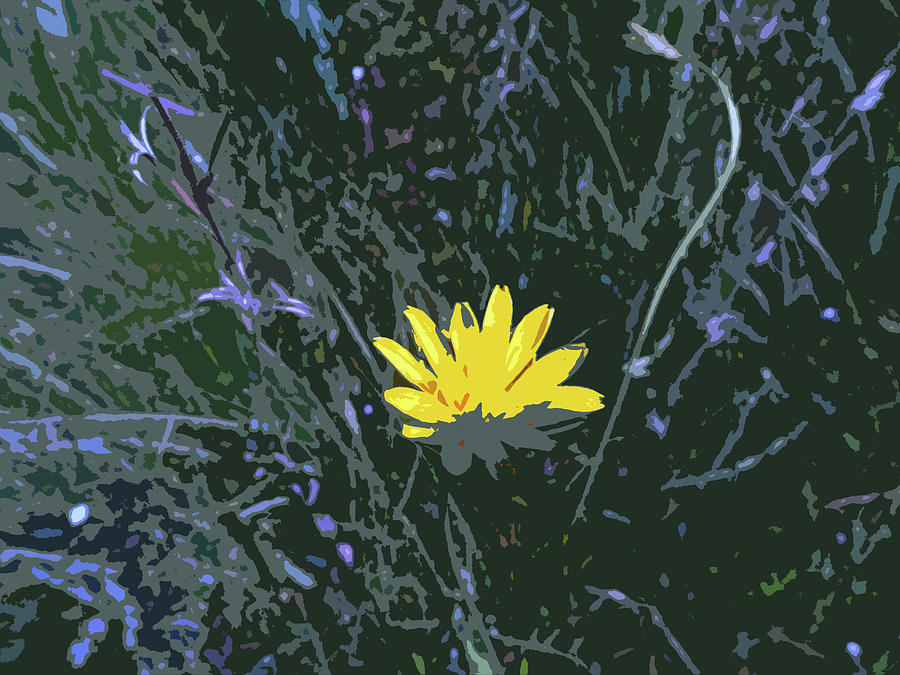 Abstract Of Yellow Flower Digital Art
