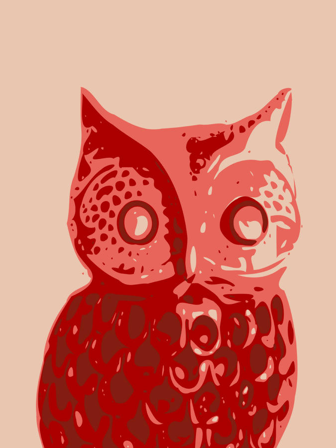 Abstract Owl Contours Glaze Digital Art