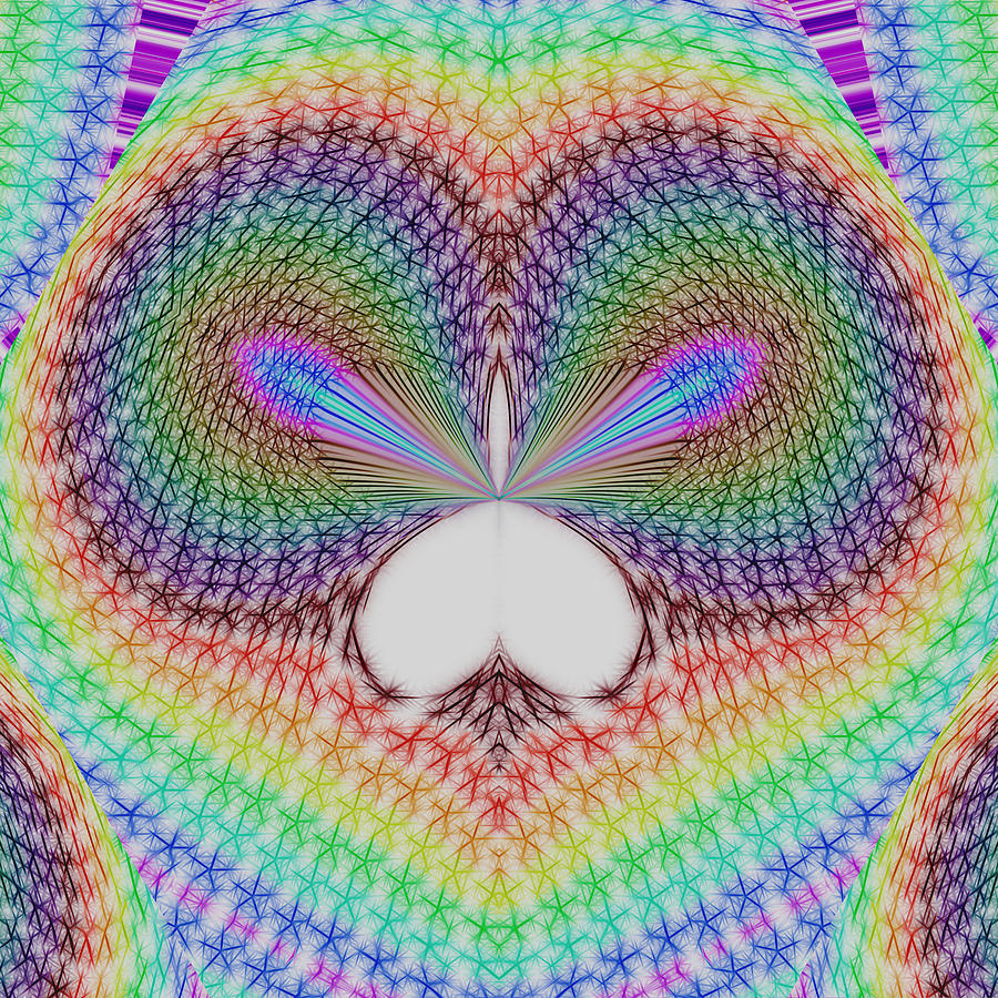 Abstract Owl Digital Art by James Smullins