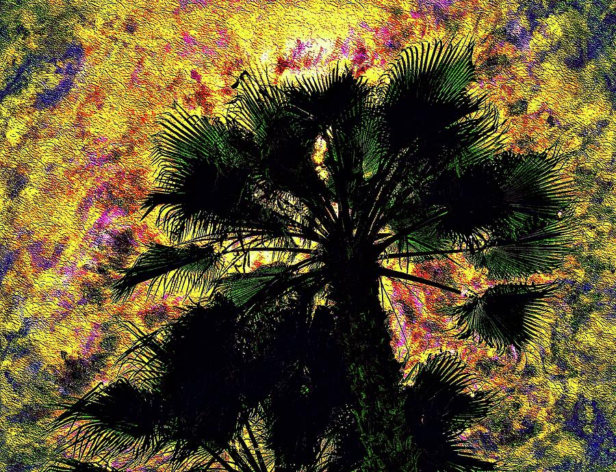 Abstract Palm Tree 103 Photograph by Kristalin Davis