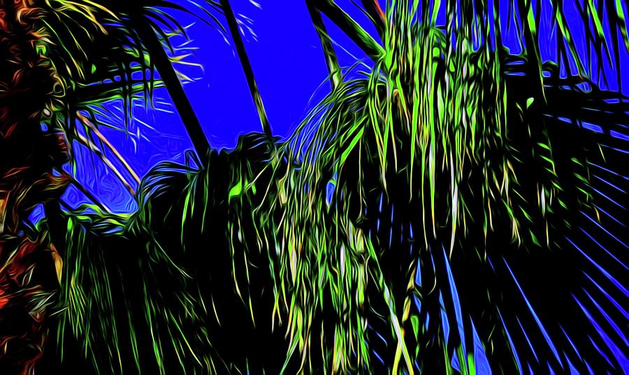 Abstract Palm Tree 33 By Kristalin Davis Photograph