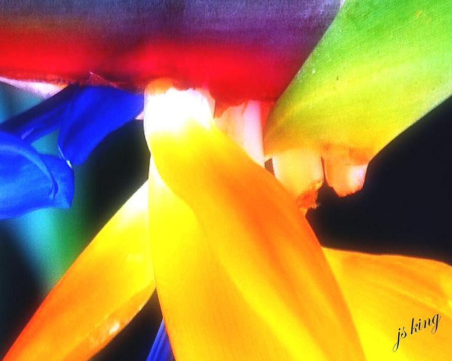 Abstract Photograph - Abstract Paradise by Jacquie King