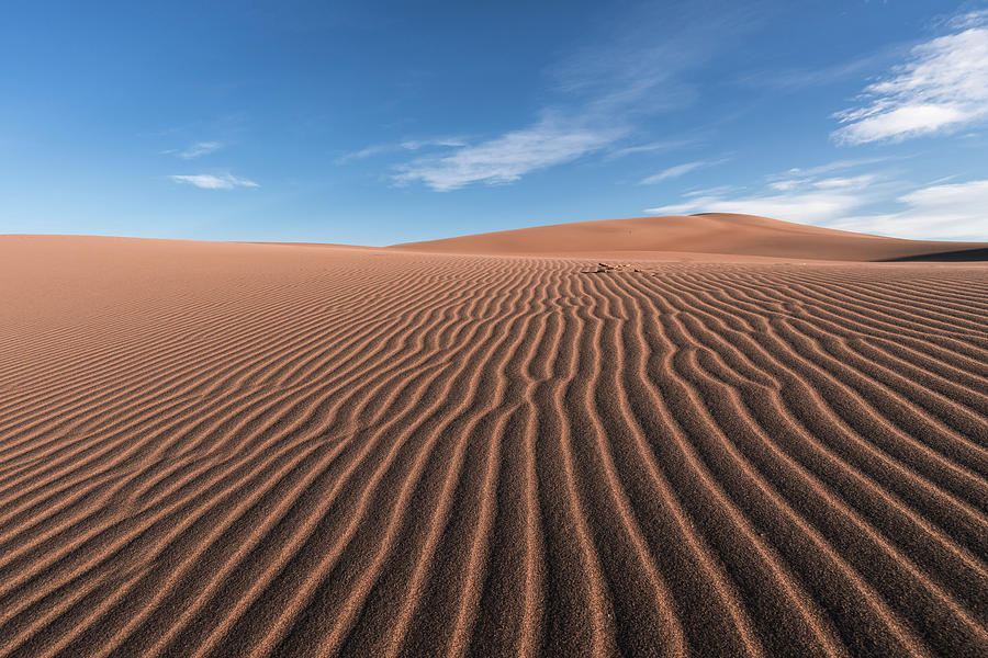 Abstract patterns at sand dune Photograph by Philip Cho