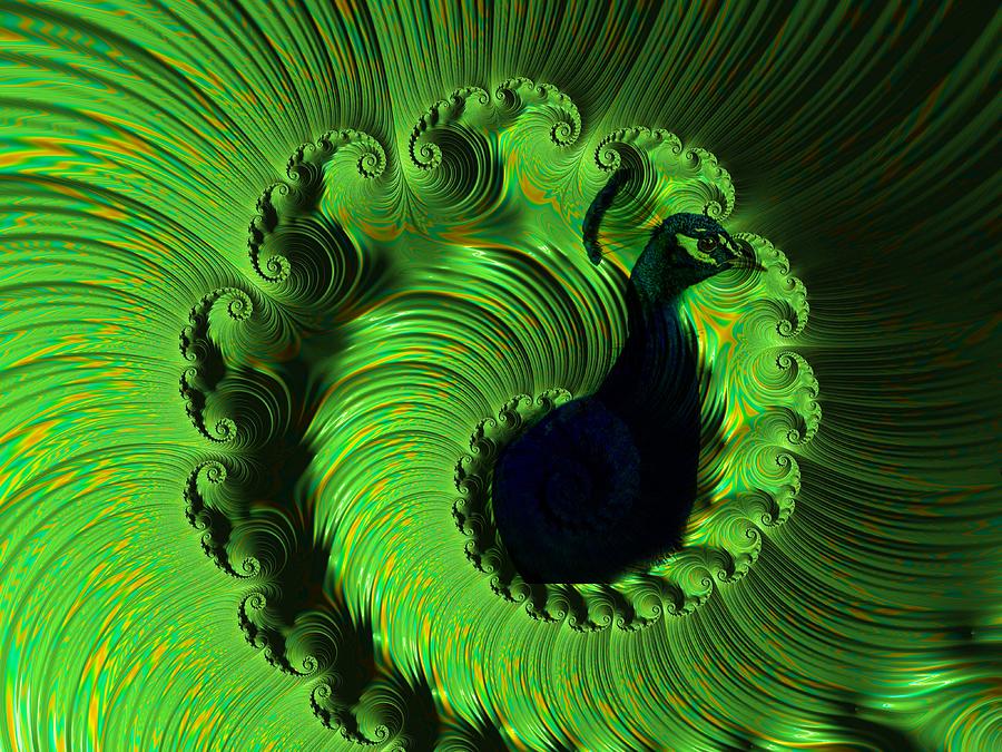 Abstract Peacock Digital Art by April Cook