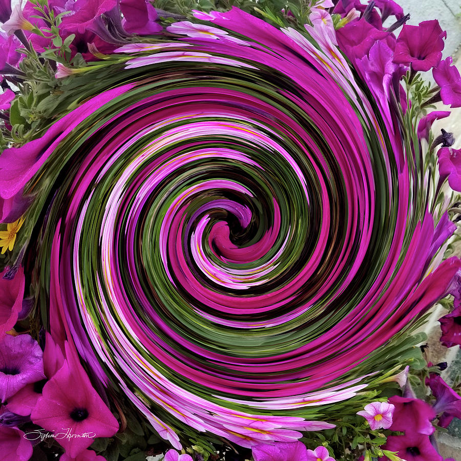 Abstract Petunias Gone Wild Photograph by Sylvia Thornton