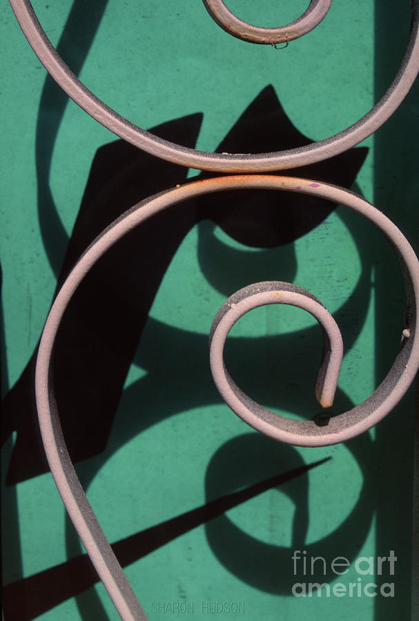 abstract photography - Wrought Iron on Green Photograph by Sharon Hudson