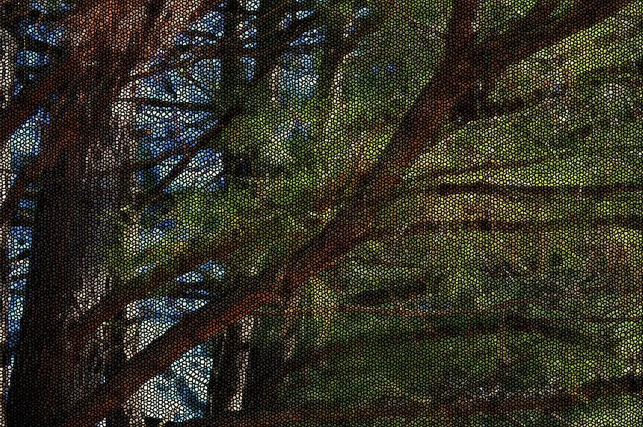 Abstract Pine Tree 7 Photograph by Kristalin Davis