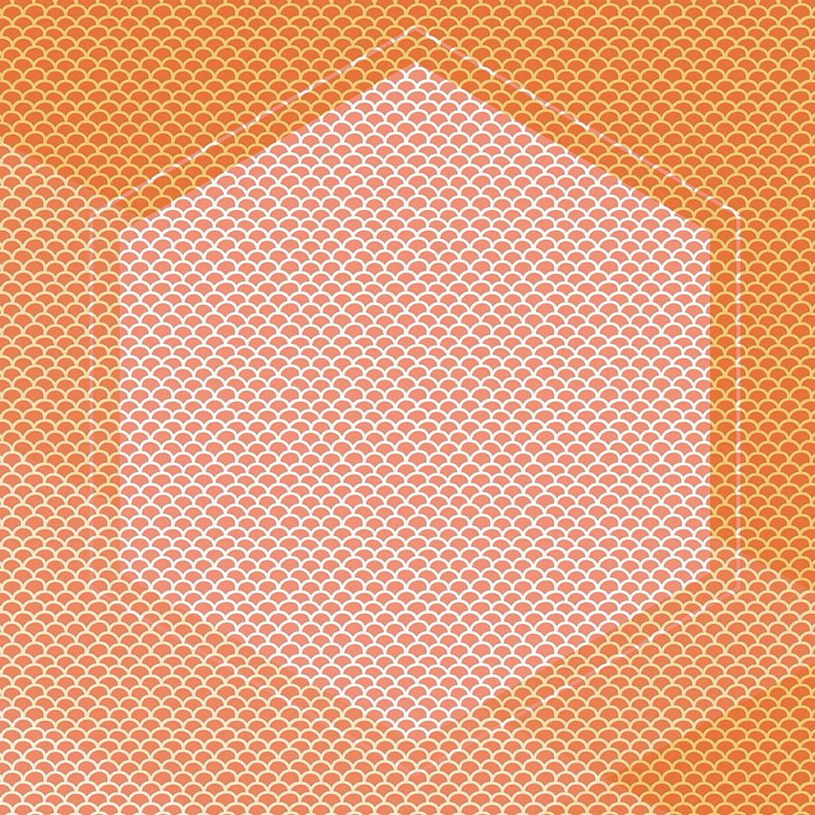 Brandi Fitzgerald Digital Art - Abstract Pink And Orange Hexagon by Brandi Fitzgerald Brandi Fitzgerald Digital Art - Abstract Pink And Orange Hexagon by Brandi Fitzgerald